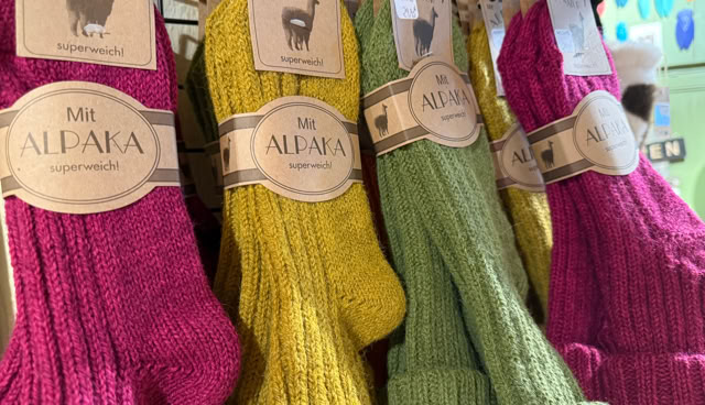 Chaussettes en laine de différentes couleurs, dont rose, jaune et vert, accrochées à un présentoir avec des étiquettes en papier.